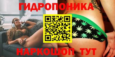 шишки Лесосибирск