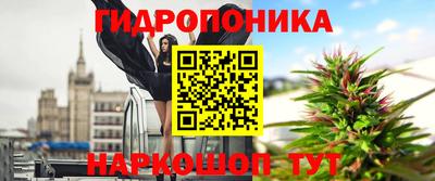 шишки Лесосибирск