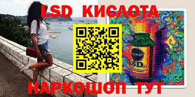 шишки Лесосибирск