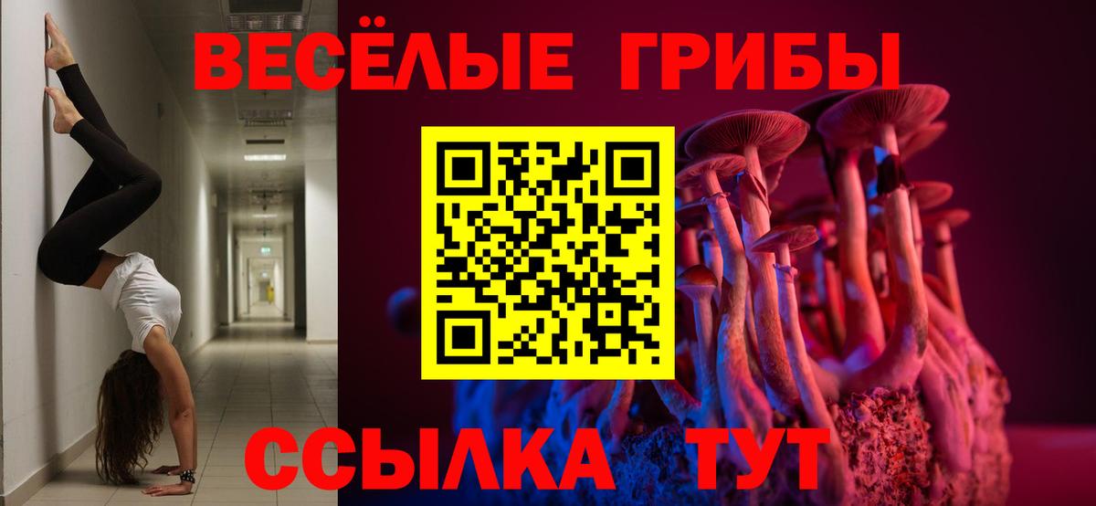 Галлюциногенные грибы Psilocybe Соль-Илецк