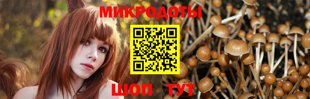 Псилоцибиновые грибы GOLDEN TEACHER  Псилоцибиновые грибы прущие грибы  Соль-Илецк  Вход с VPN 